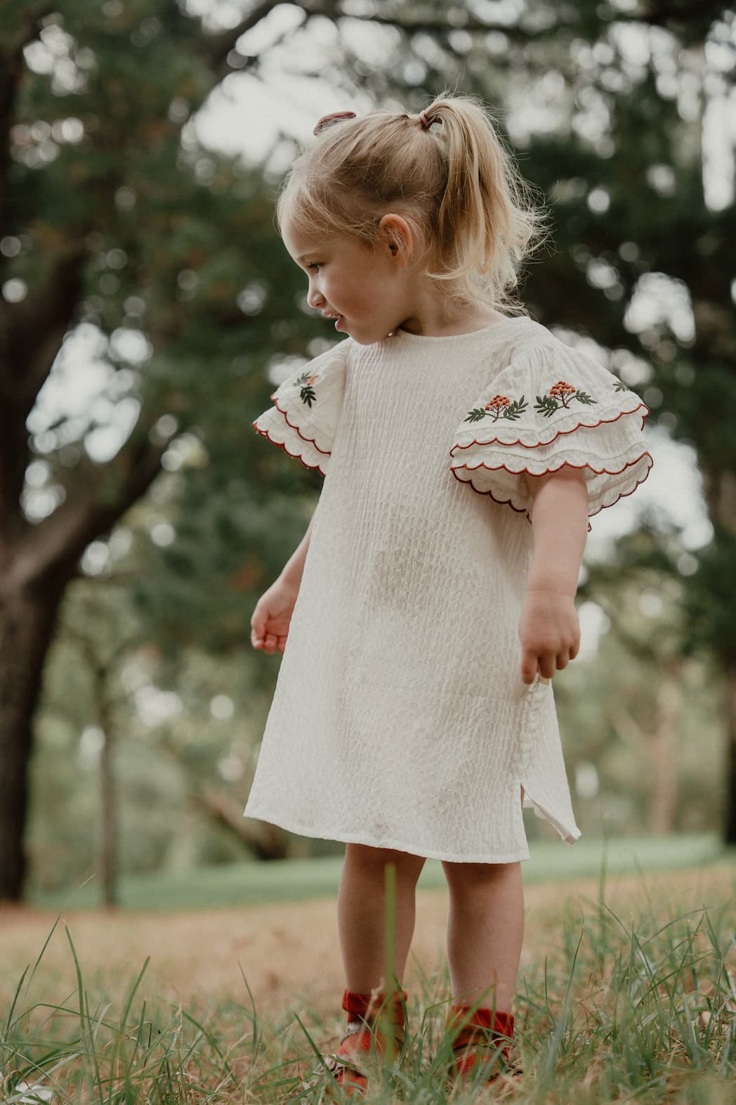 New Arrival – Wildberry Ruffle Collar Dress