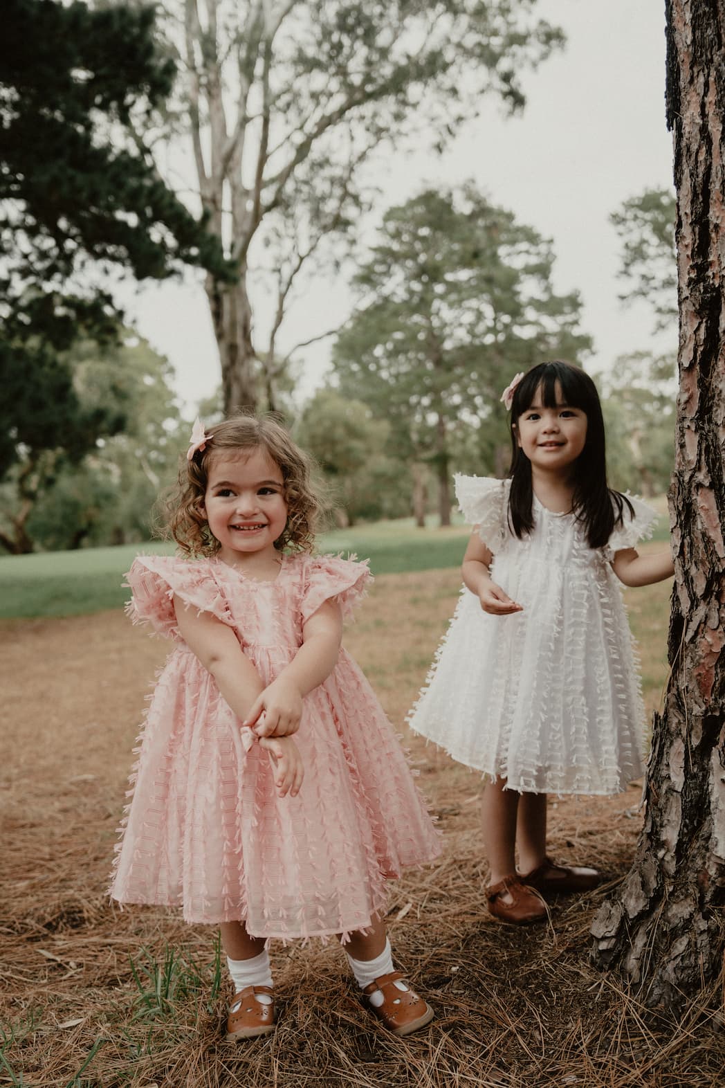 New Arrival – Ribbon Jacquard Princess Dress