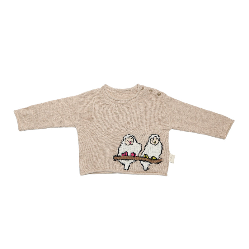 New Arrival – Little Buddies Cotton Jacquard Sweater