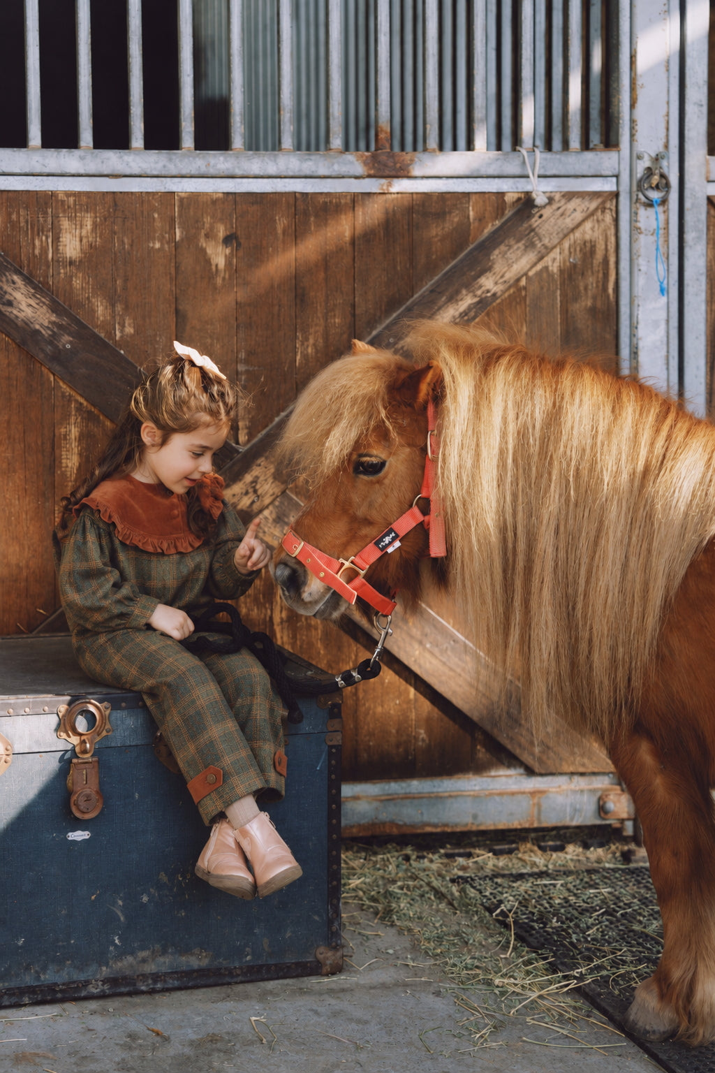 New Arrival – Forest Harvest Tartan Two Piece Set