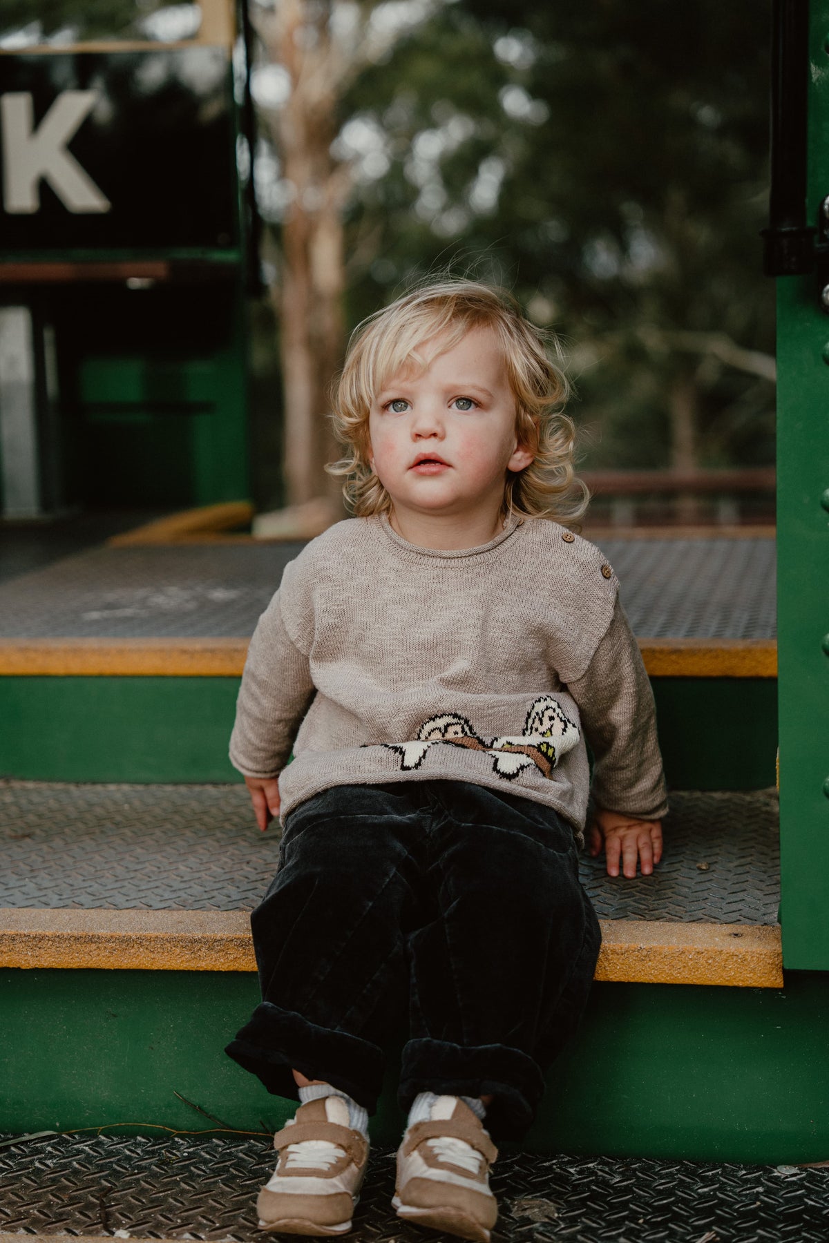 New Arrival – Little Buddies Cotton Jacquard Sweater