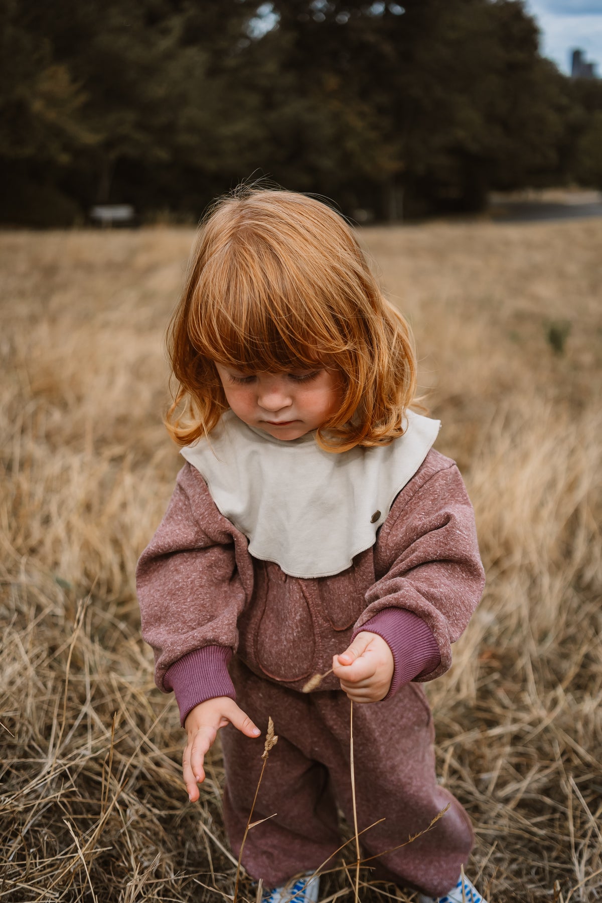 Merino Wool Fleece Layering Collar