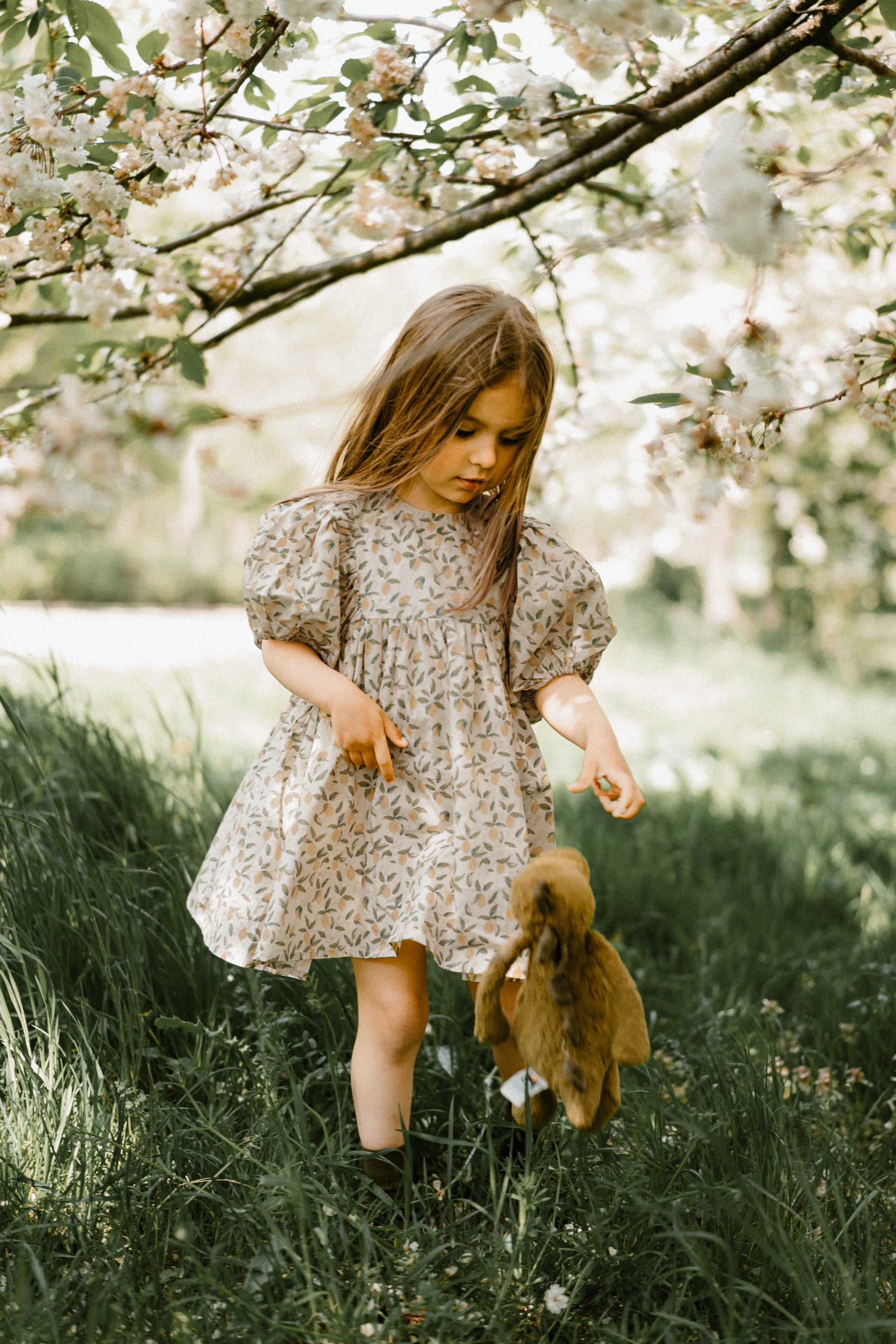 Puff Sleeve Lemon Print Dress